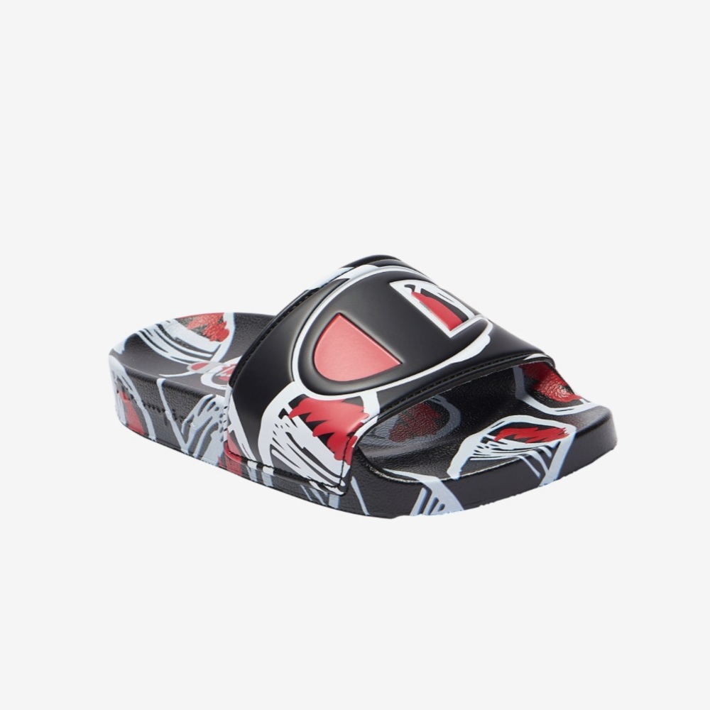 NIB Champion Slides